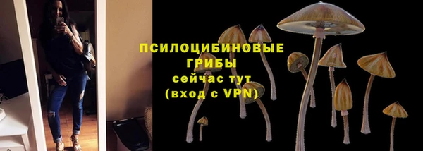 трава Армянск