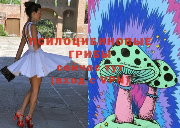 трава Армянск