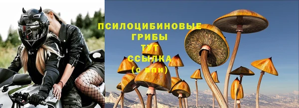 соль ск Арсеньев