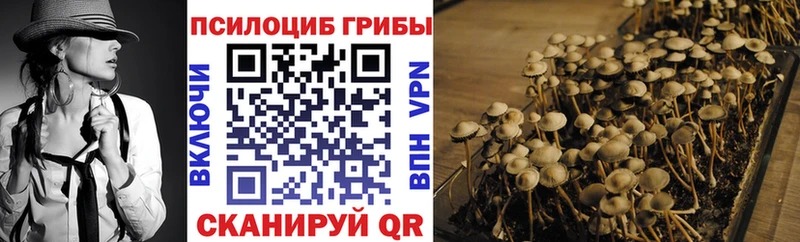 Псилоцибиновые грибы прущие грибы  Талица 