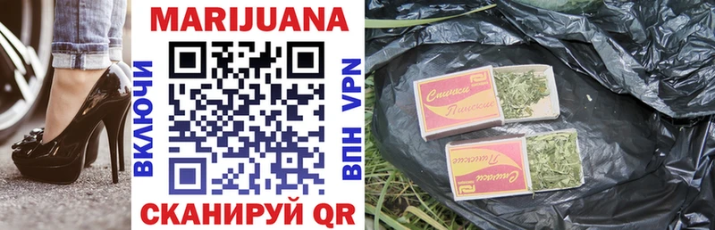 наркотики  Талица  Каннабис индика 